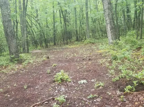 220 Off Rte, Moorefield, WV 26836