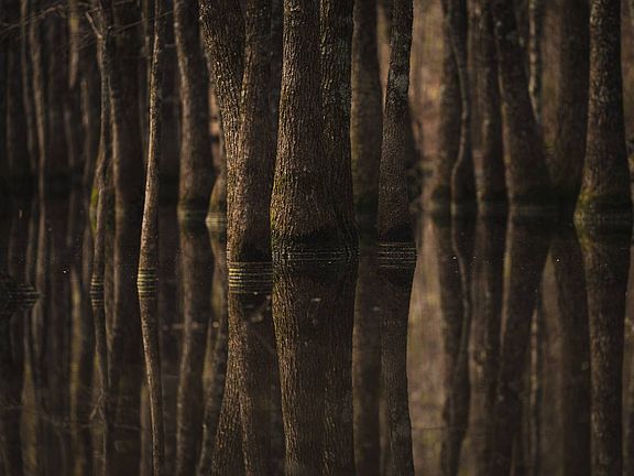 2nd image of Kelly Creek Rd