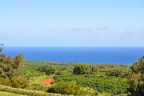 1st image of Kaena St Lot 21