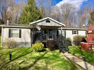 55 Mulberry Rd, Craigsville, WV 26205