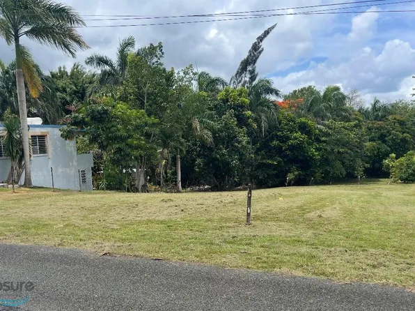 Km38 Sector Gelo Estevez #Road447, San Sebastian, PR 00685
