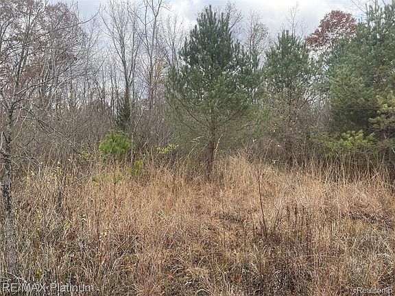 2nd image of 0 Seymour Rd