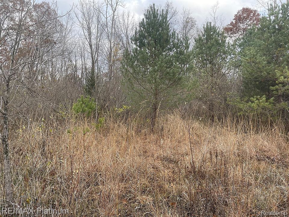 2nd image of 0 Seymour Rd