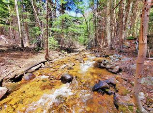 1100 Mill Creek Rd, Dumont, CO 80436