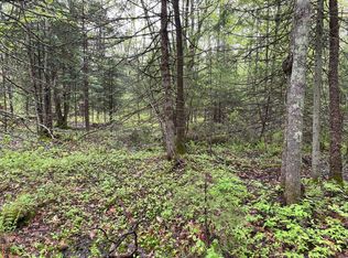 On Wadell Rd, Tomahawk, WI 54487