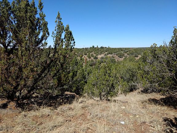 4th image of 8546 Silver Creek Dr