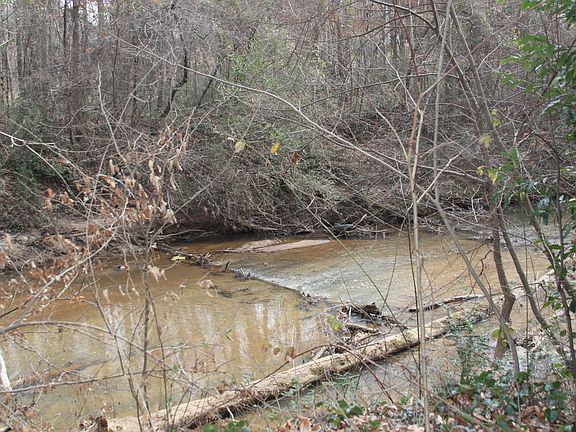 Creek behind the house