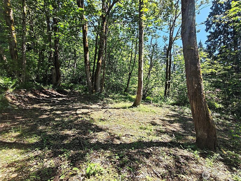 5th image of 273 xx SE 164th Street