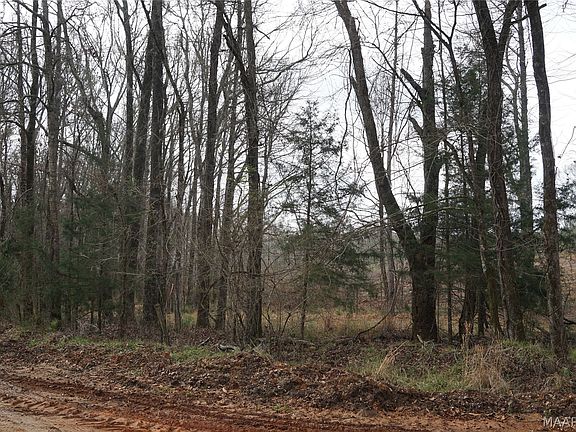 4th image of 1303 County Road 176