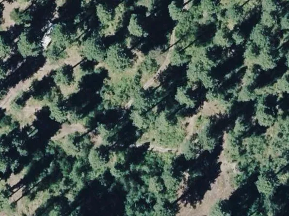 102 Horvatt Road, Roslyn, WA 98941