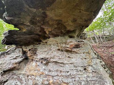 LOT 160 Big Piney Loop, Wilder, TN, 38589