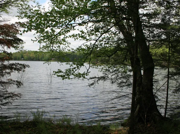 23535 Sucker Lake Rd #4-6A-6B, Watersmeet, MI 49969