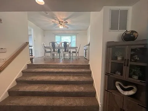 845 Arnold Ave #1 — Photo 15