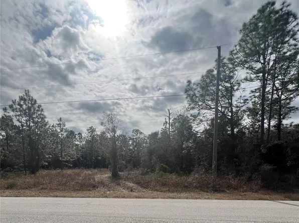 SW Tiger Lake Blvd Lot 21, Dunnellon, FL 34431