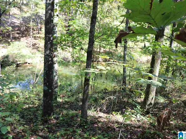 42 Fishers Way #42, Vincent, AL 35178