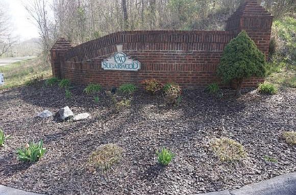 1st image of 180 Sugarcane Ln