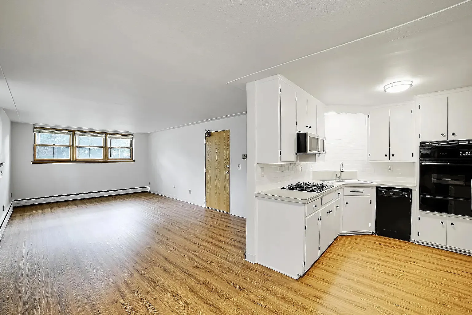 1 bed, 900 sqft, $1,250 — Photo 1