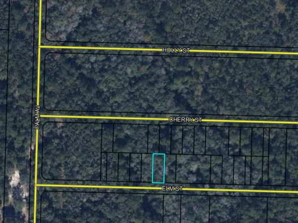 Lots 70/71 Elm St, Vernon, FL 32462