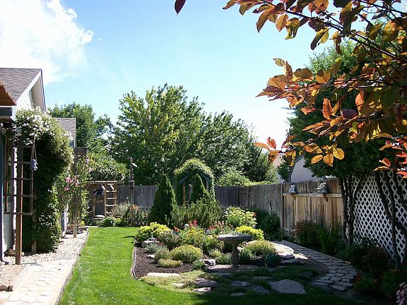 Backyard south