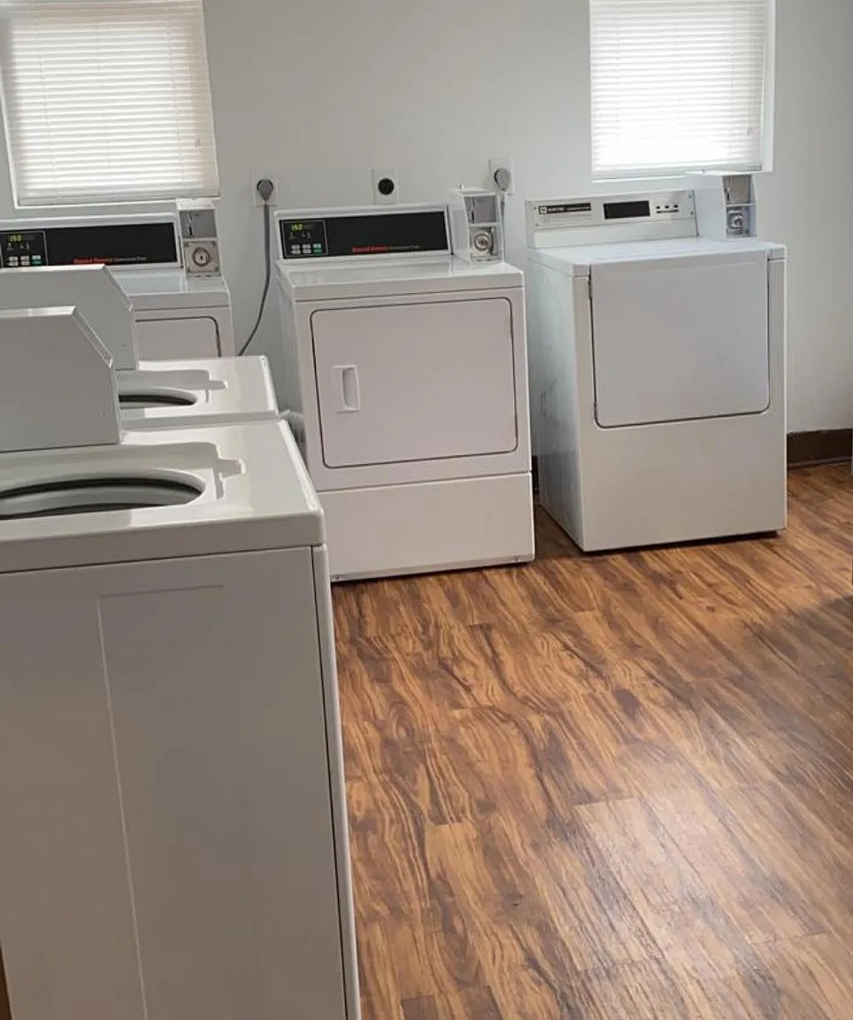 1 bed, $1,250 — Photo 3