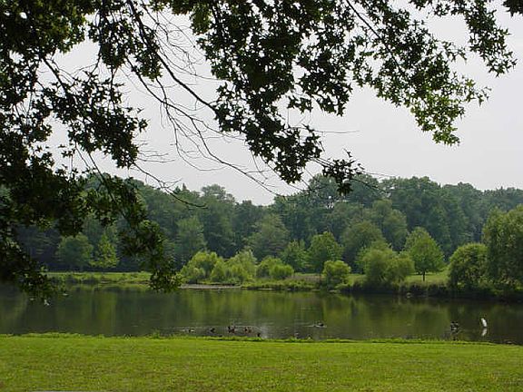 Magnificent view of the lake, Bryant Park from this young to