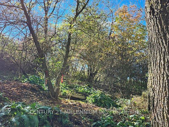 4th image of Mill St