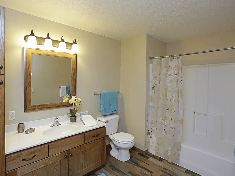 Bowed-Out Shower Curtain Rod