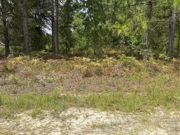 0 Heritage Cir #64, Hortense, GA 31543