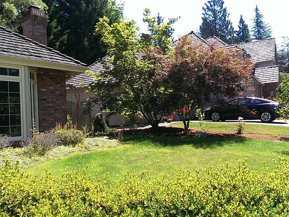 the front yard