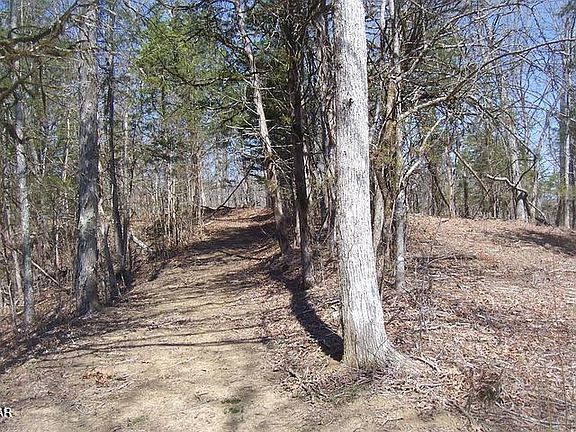 3rd image of 4 Flat Creek Rd