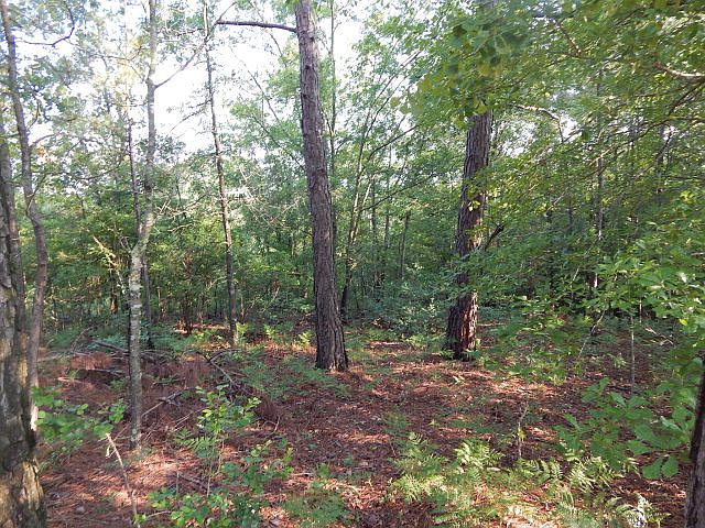 1st image of Lot 72 Cottontail Lane