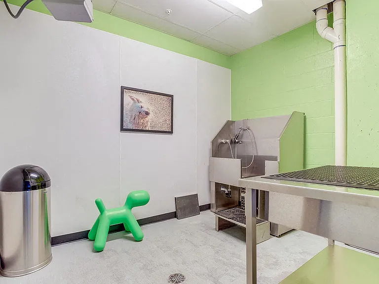 Bath time is stress-free at the Pet Spa