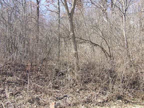 3rd image of 560 W Fairlawn Blvd