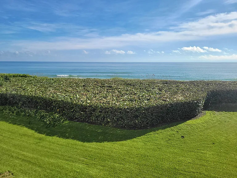 10600 S Ocean Dr #209 — Photo 81