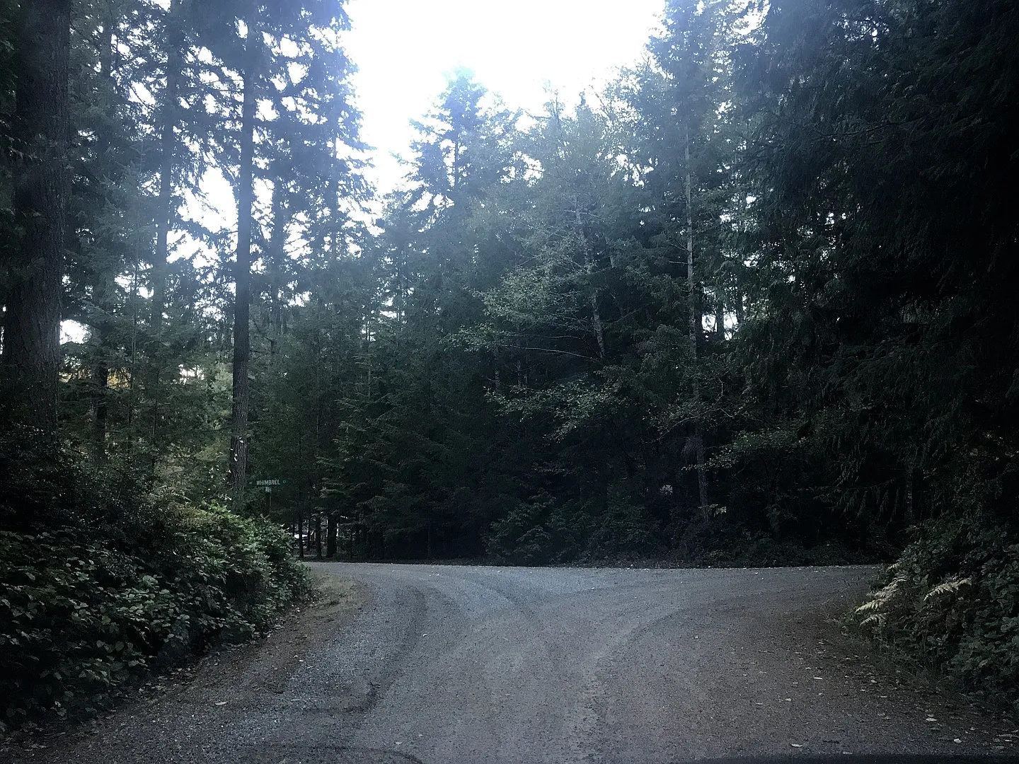 Private Poulsbo Woodsy Home — Photo 3