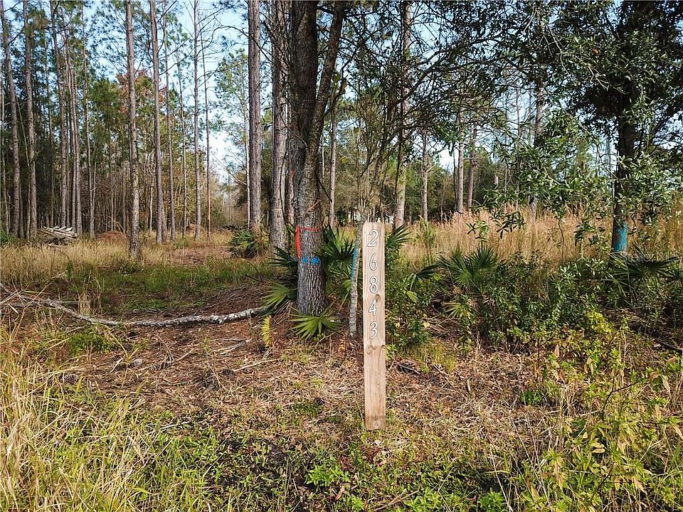 1st image of 26843 Coral Vine Ln