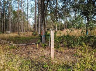 26843 Coral Vine Ln, Wesley Chapel, FL 33544