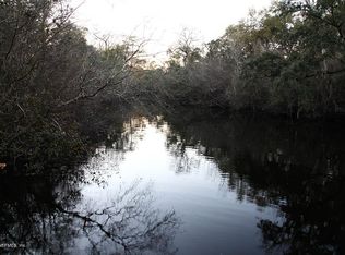 2968 Black Creek Dr, Middleburg, FL 32068