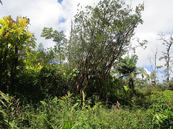 3rd image of 13-3612 Pomaikai St Lot 48