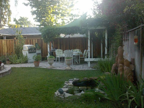 back yard