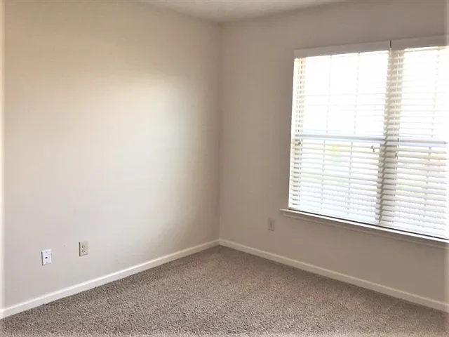 104 Brindlewood Dr — Photo 15
