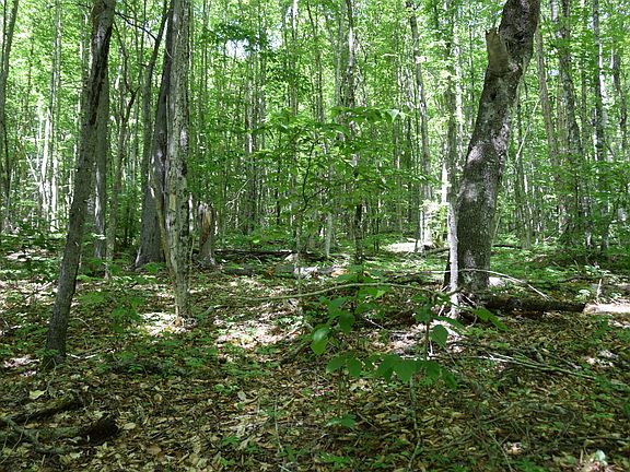 2nd image of MSO3 L16 Flow Road
