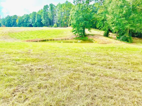 0 Beach Rd, Purvis, MS 39475