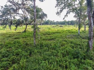 Clifton Rd, Deleon springs, FL 32130