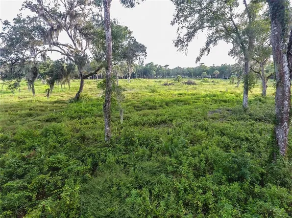 Clifton Rd, Deleon Springs, FL 32130