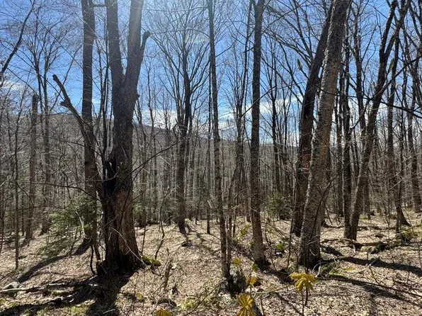 0 Aplendorf Avenue Lot 92, Readsboro, VT 05350