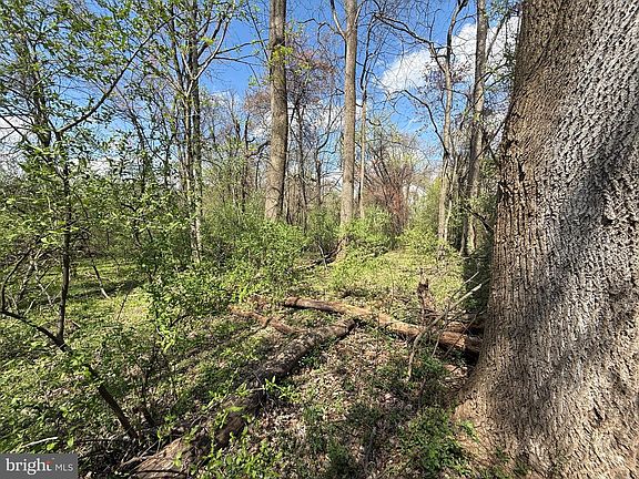 3rd image of Philomont Rd