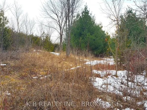 344 Adair Rd, Stone Mills, ON K0K 3G0