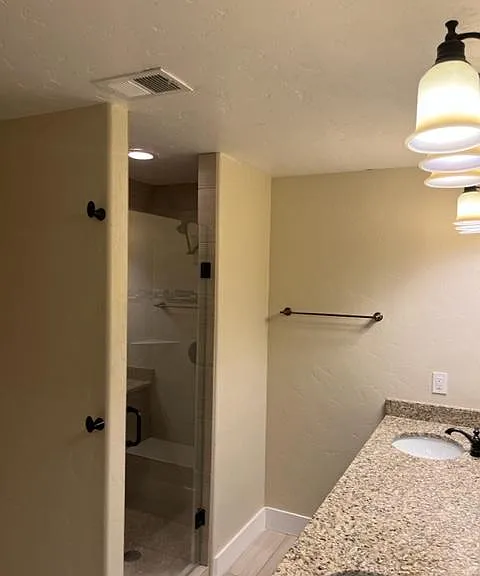 Master Bathroom shower