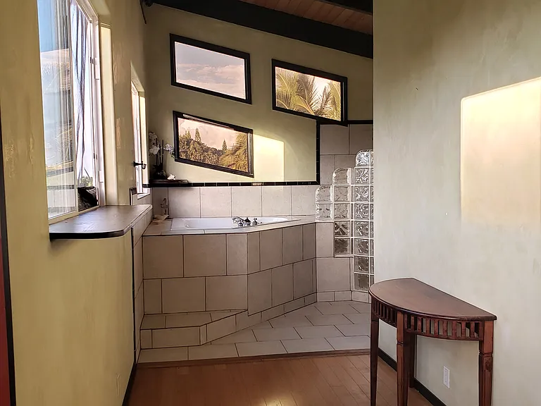 MASTER BED/BATH AREA